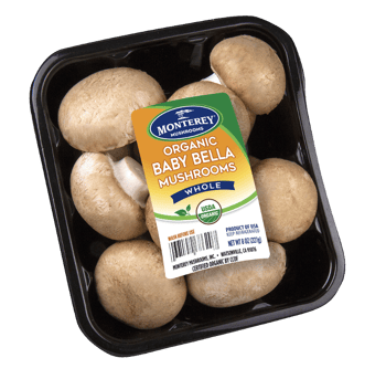 Organic Mushroom Products
